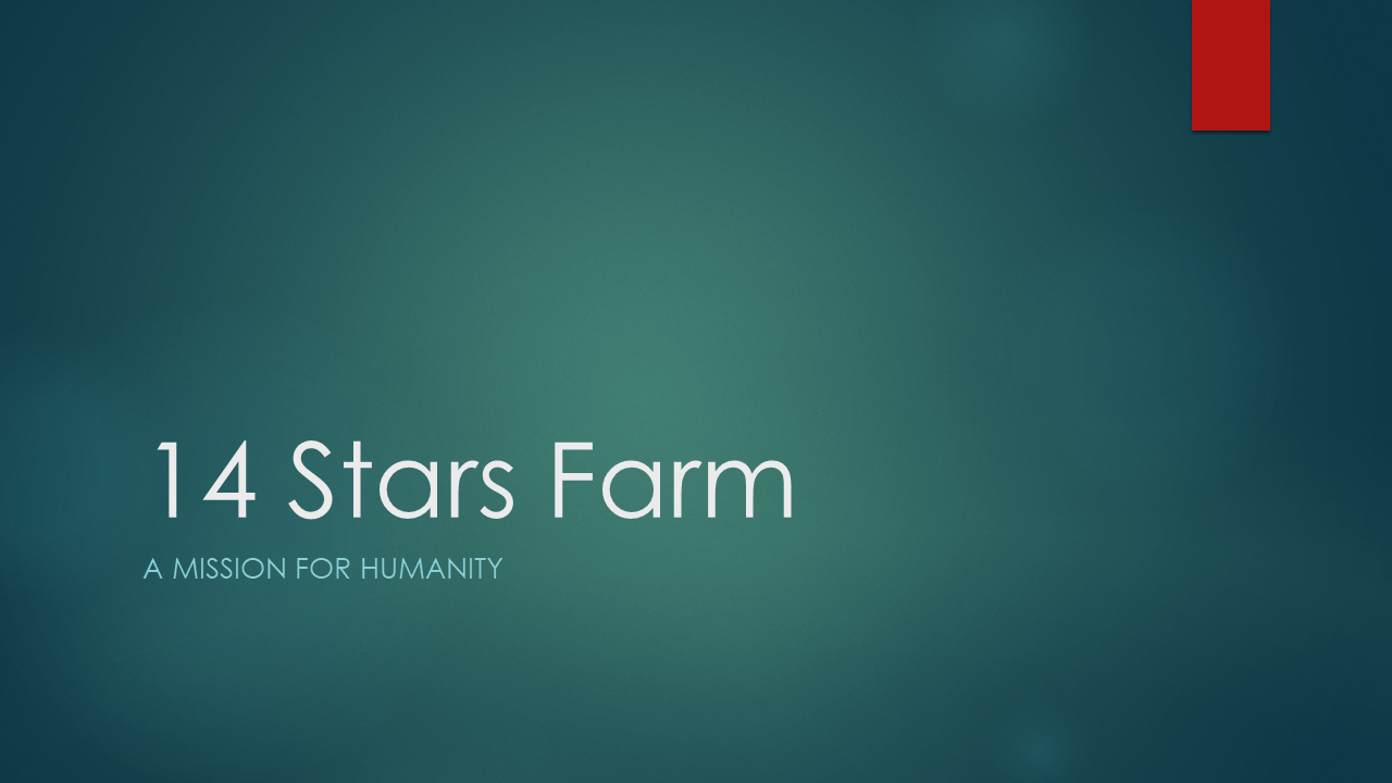 14 Stars Farm — Slide 1